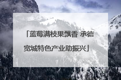 蓝莓满枝果飘香 承德宽城特色产业助振兴