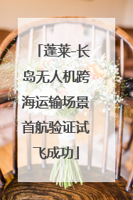 蓬莱-长岛无人机跨海运输场景首航验证试飞成功