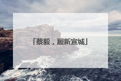 蔡毅，履新宣城