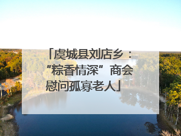 虞城县刘店乡：“粽香情深”商会慰问孤寡老人
