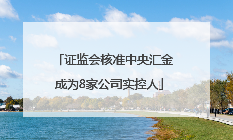 证监会核准中央汇金成为8家公司实控人