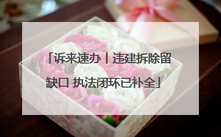 诉来速办丨违建拆除留缺口 执法闭环已补全