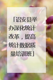 诏安县举办深化统计改革，提高统计数据质量培训班