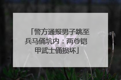 警方通报男子跳至兵马俑坑内：两尊铠甲武士俑损坏