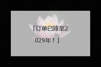 订单已排至2029年！