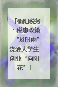 衡阳税务：税惠政策“及时雨”浇灌大学生创业“向阳花”