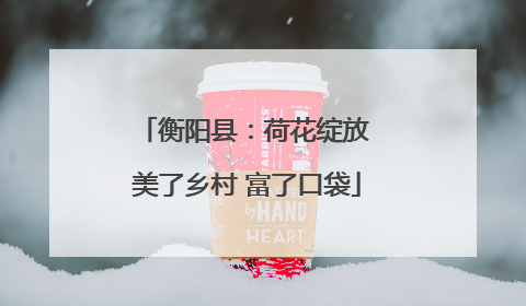 衡阳县：荷花绽放 美了乡村 富了口袋