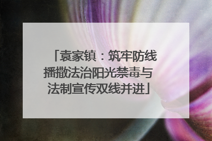 袁家镇：筑牢防线播撒法治阳光禁毒与法制宣传双线并进