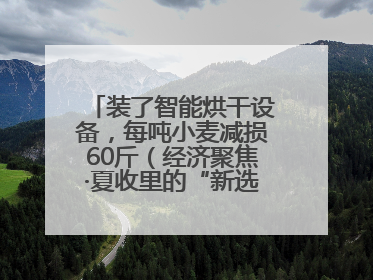 装了智能烘干设备，每吨小麦减损60斤（经济聚焦·夏收里的“新选手”）
