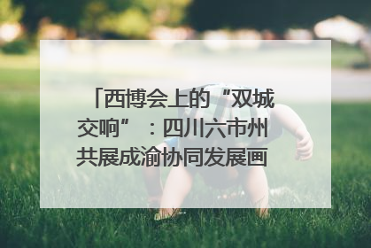 西博会上的“双城交响”：四川六市州共展成渝协同发展画卷｜西博视界