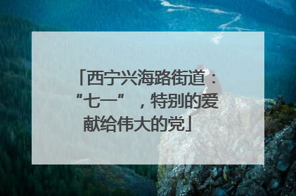 西宁兴海路街道：“七一”，特别的爱献给伟大的党