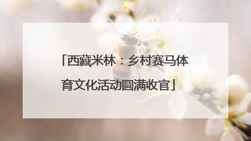 西藏米林：乡村赛马体育文化活动圆满收官