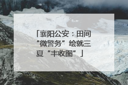 襄阳公安：田间“微警务”绘就三夏“丰收图”