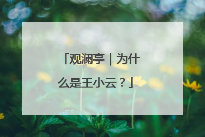 观澜亭｜为什么是王小云？