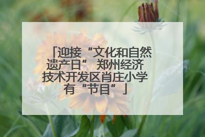 迎接“文化和自然遗产日” 郑州经济技术开发区肖庄小学有“节目”