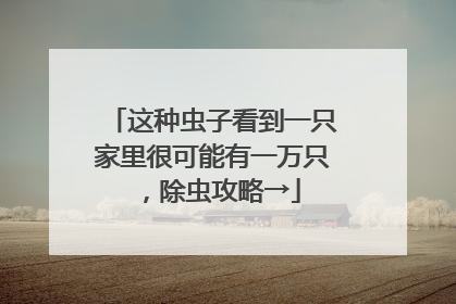 这种虫子看到一只家里很可能有一万只，除虫攻略→