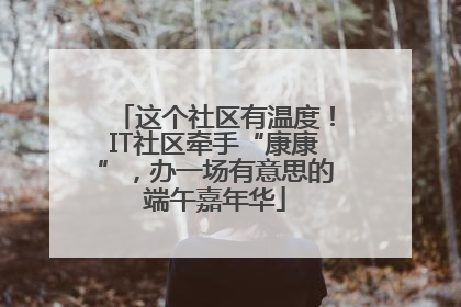 这个社区有温度！IT社区牵手“康康”，办一场有意思的端午嘉年华