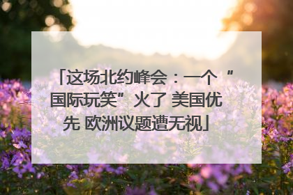 这场北约峰会：一个“国际玩笑”火了 美国优先 欧洲议题遭无视