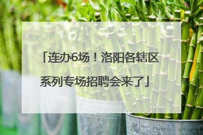 连办6场！洛阳各辖区系列专场招聘会来了
