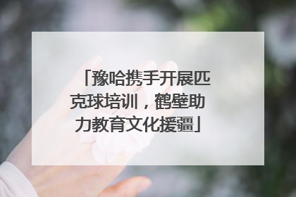 豫哈携手开展匹克球培训，鹤壁助力教育文化援疆