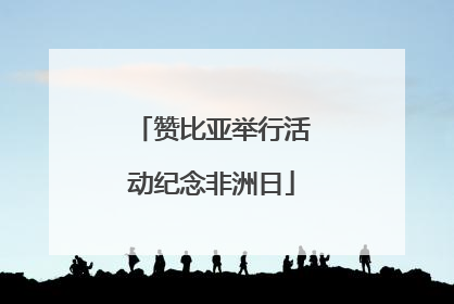赞比亚举行活动纪念非洲日
