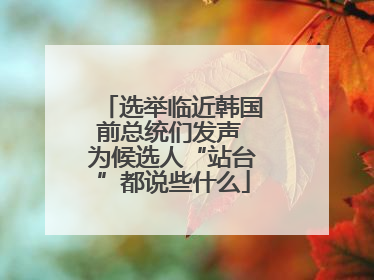 选举临近韩国前总统们发声 为候选人“站台”都说些什么