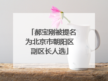 郝宝刚被提名为北京市朝阳区副区长人选