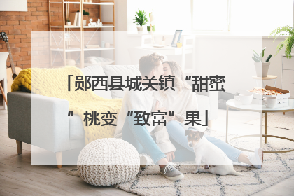 郧西县城关镇“甜蜜”桃变“致富”果