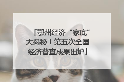 鄂州经济“家底”大揭秘！第五次全国经济普查成果出炉