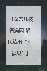 金杏压枝香满园 帮扶结出“幸福果”