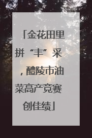 金花田里拼“丰”采，醴陵市油菜高产竞赛创佳绩