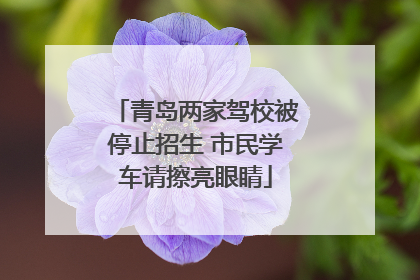 青岛两家驾校被停止招生 市民学车请擦亮眼睛