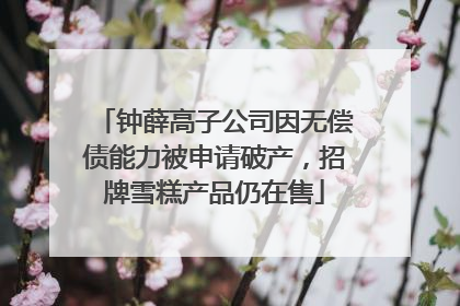 钟薛高子公司因无偿债能力被申请破产，招牌雪糕产品仍在售