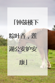 钟鼓楼下粽叶香，莲湖公安护安康