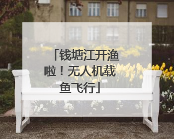 钱塘江开渔啦！无人机载鱼飞行
