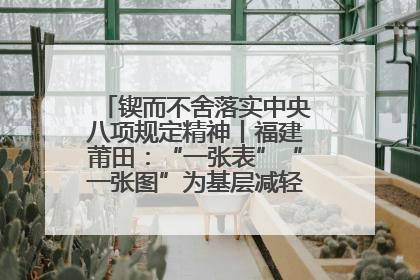 锲而不舍落实中央八项规定精神丨福建莆田：“一张表”“一张图”为基层减轻“数字负担”