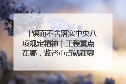 锲而不舍落实中央八项规定精神｜工程重点在哪，监督重点就在哪——广西深化政治监督护航平陆运河建设
