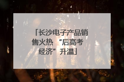 长沙电子产品销售火热 “后高考经济”升温