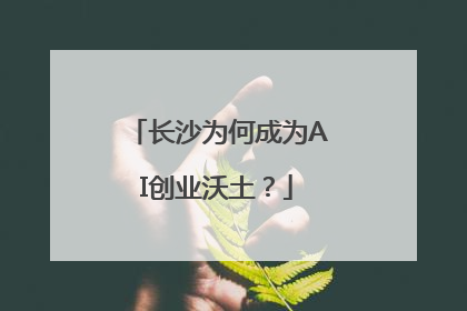 长沙为何成为AI创业沃土？