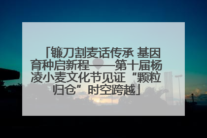 镰刀割麦话传承 基因育种启新程——第十届杨凌小麦文化节见证“颗粒归仓”时空跨越