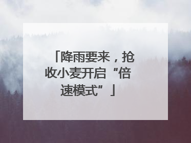 降雨要来，抢收小麦开启“倍速模式”