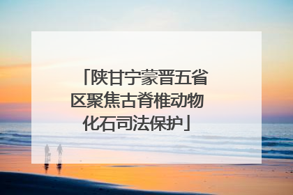 陕甘宁蒙晋五省区聚焦古脊椎动物化石司法保护