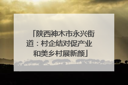 陕西神木市永兴街道：村企结对促产业 和美乡村展新颜