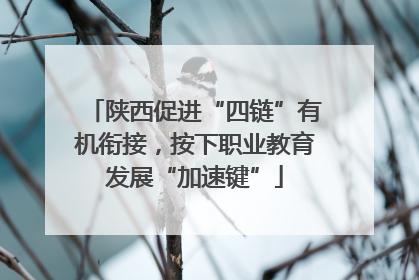 陕西促进“四链”有机衔接，按下职业教育发展“加速键”