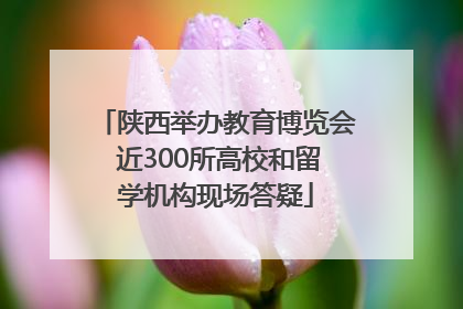 陕西举办教育博览会 近300所高校和留学机构现场答疑