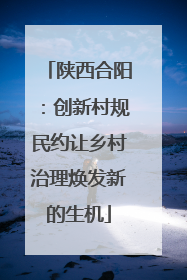陕西合阳：创新村规民约让乡村治理焕发新的生机