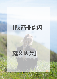 陕西非遗闪耀文博会