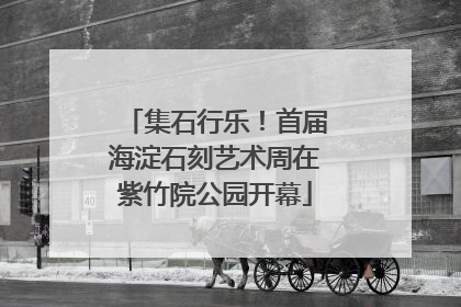 集石行乐！首届海淀石刻艺术周在紫竹院公园开幕