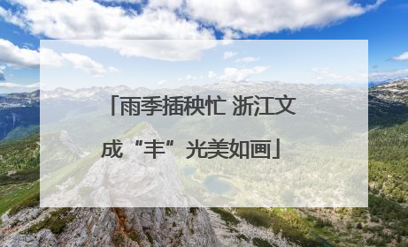 雨季插秧忙 浙江文成“丰”光美如画