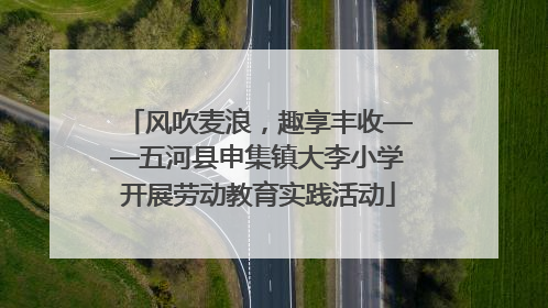 风吹麦浪，趣享丰收——五河县申集镇大李小学开展劳动教育实践活动